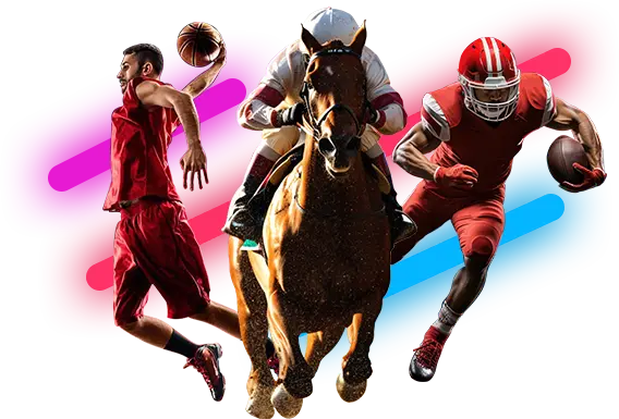 Horce Riding, Baseball and Basketball