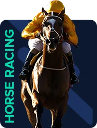 Horse Racing Horse Racing