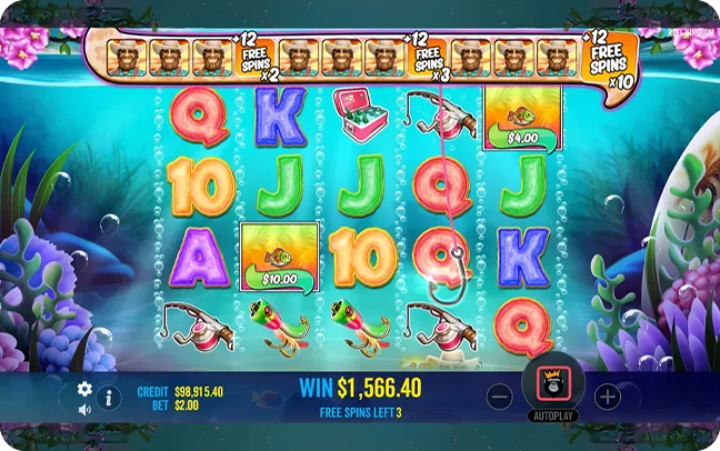 Special Features Special Features